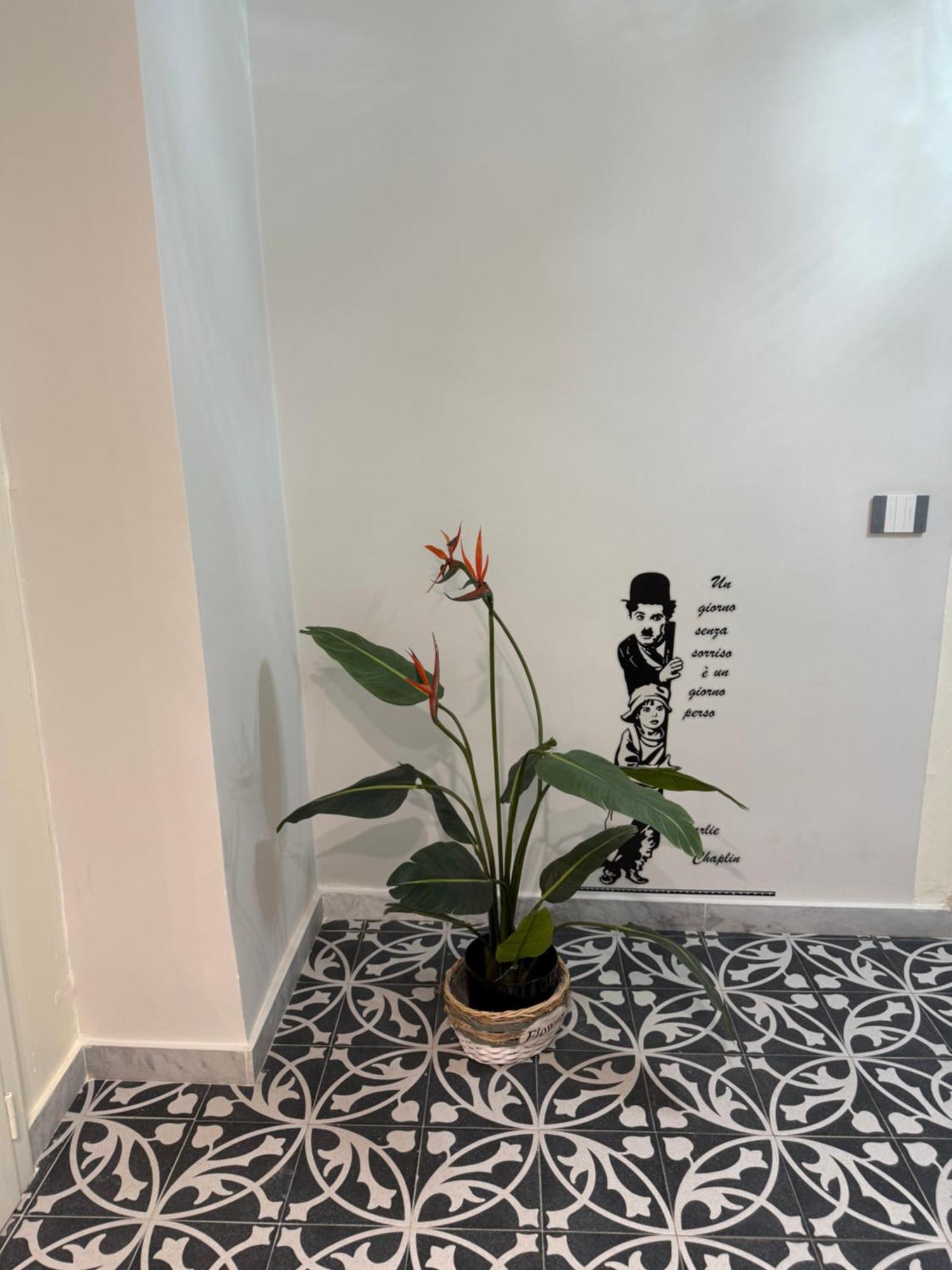 巴勒莫Elisir House别墅 外观 照片